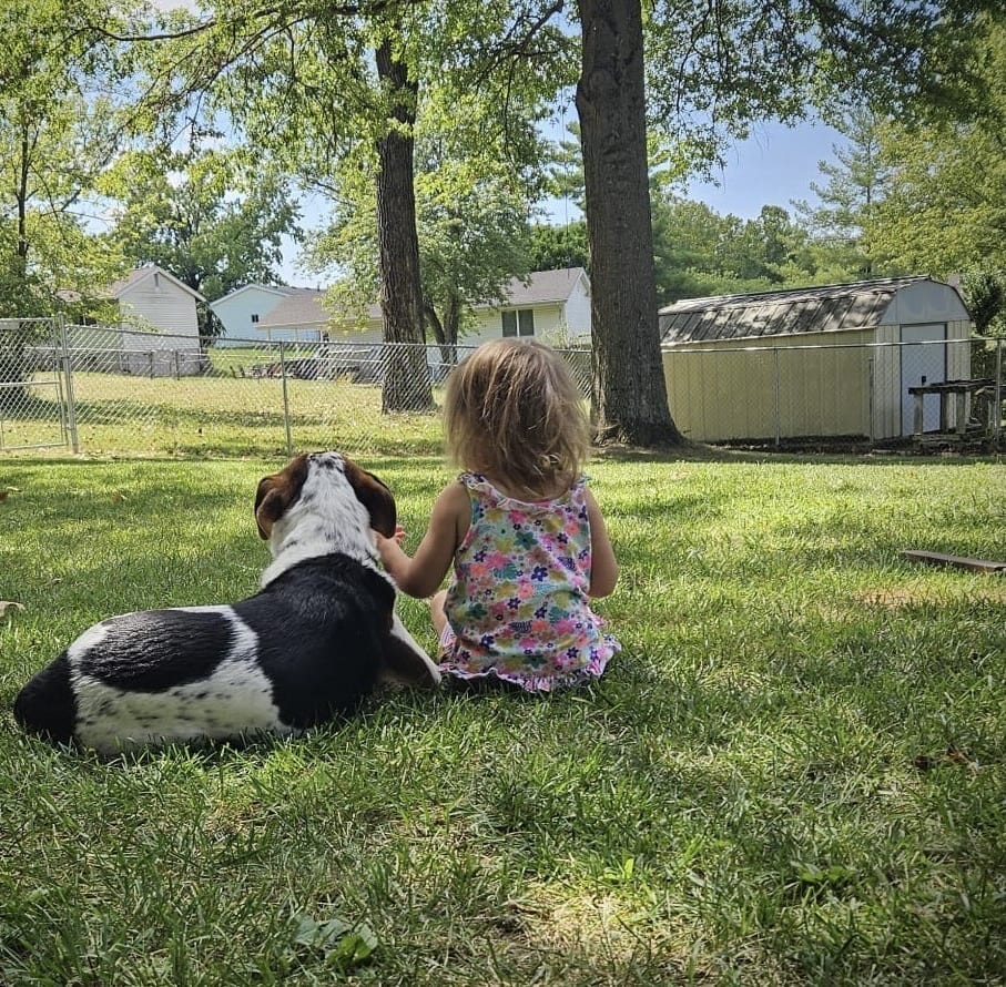 A small child and a black and white dog sitting side by side on a mown lawn, looking out across a fenced backyard